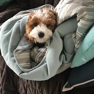 Meet your Posher, Terri